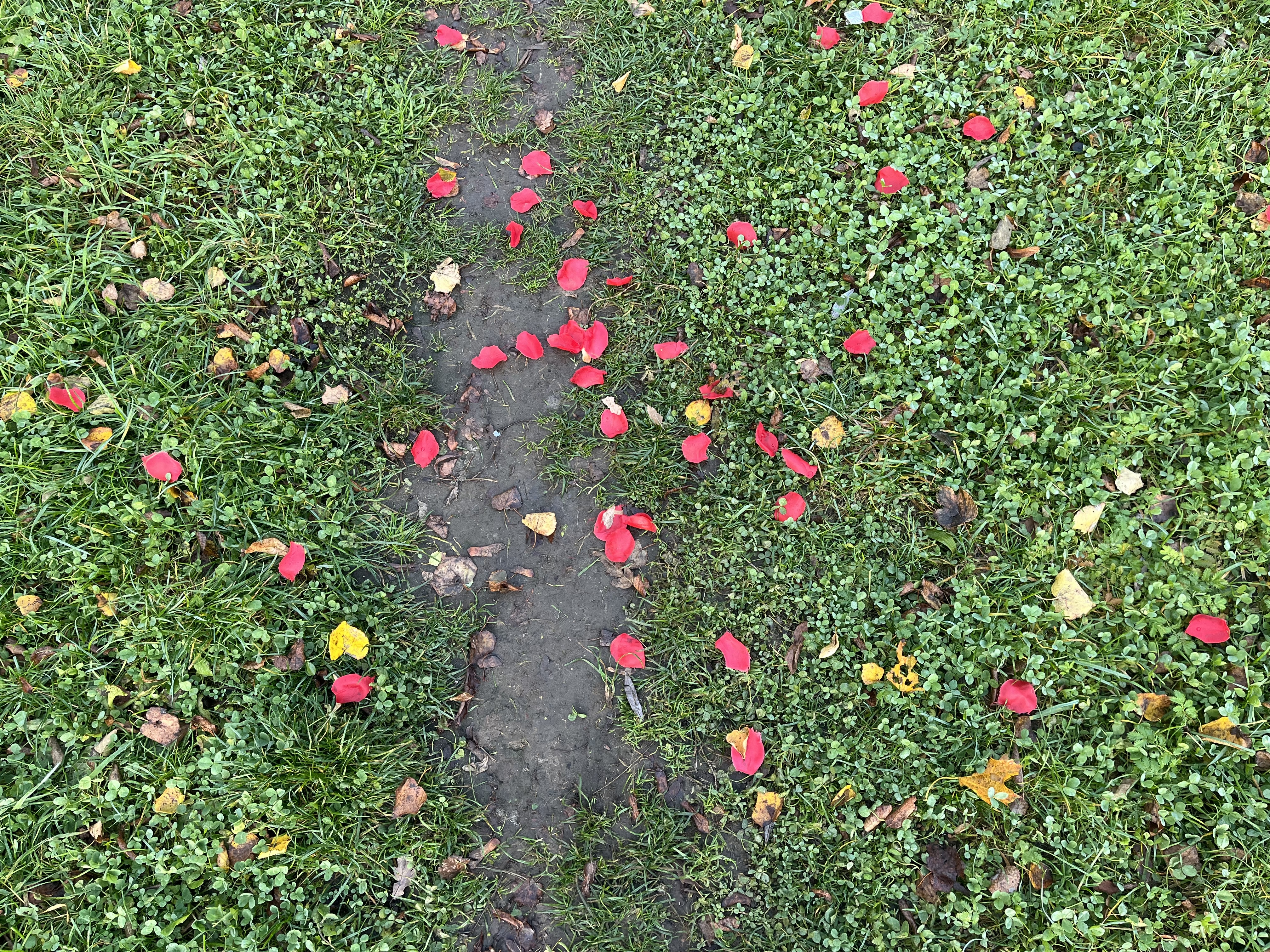O tym, jak bardzo pragniemy być jak ktoś inny i o tym, iż to droga skróty do psychologicznej dojrzałości
